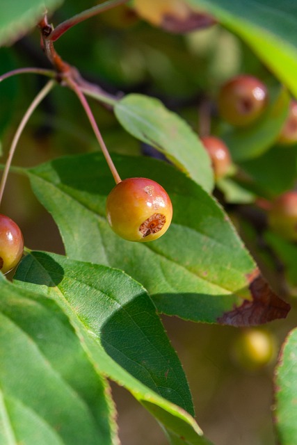 🧤以父之名，浅浅过个诞辰日~🎂今天是科贝尔的28...